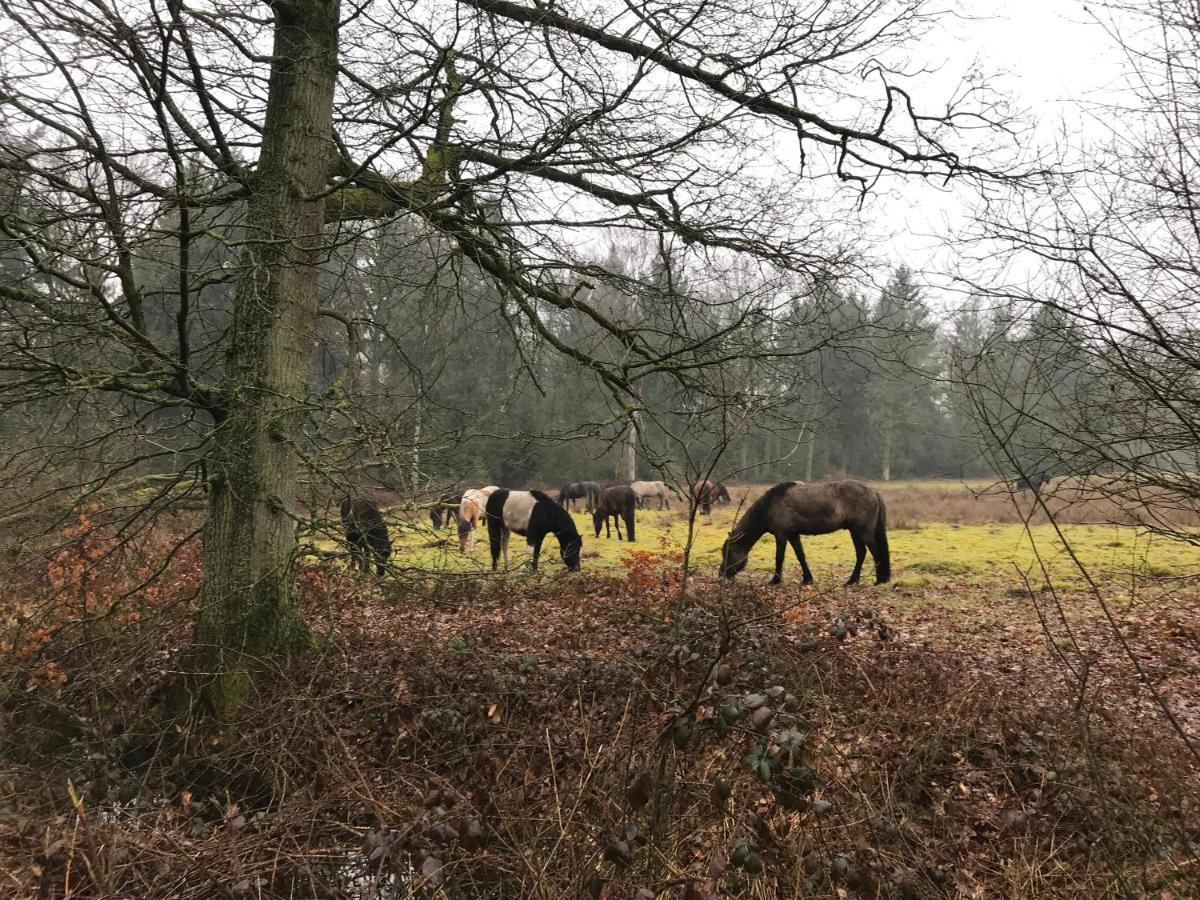 De Kempse Hoeve B&B Boxtel Dış mekan fotoğraf